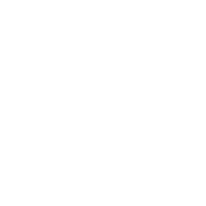 Damage Type